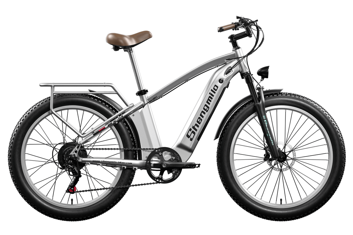 Leitner electric bike hot sale