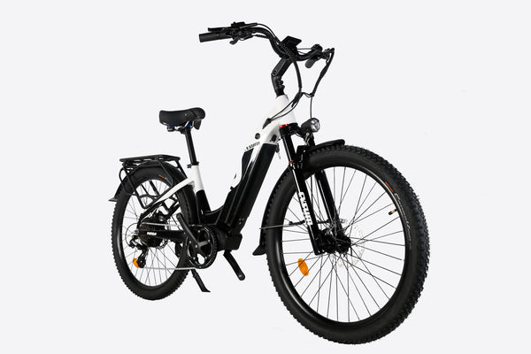 Panda electric bike 500W, 27.5*2.2