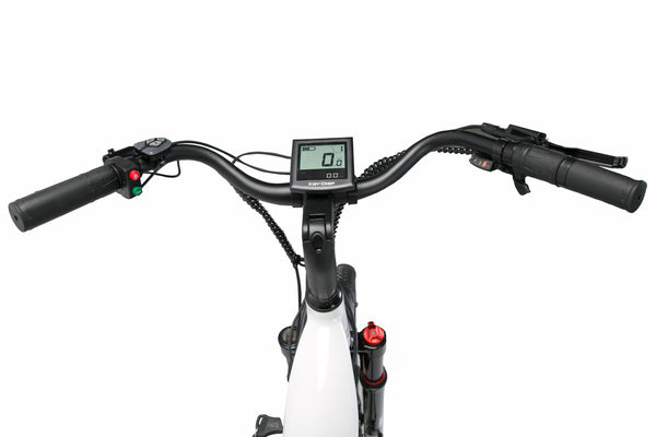 Panda electric bike 500W, 27.5*2.2